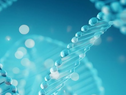 公司网站如何制作,公司网站建设公司哪家好